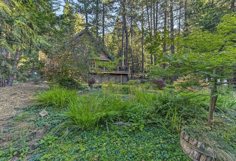 Near Vineyards: Cabin W/ Hot Tub In Pollock Pines!