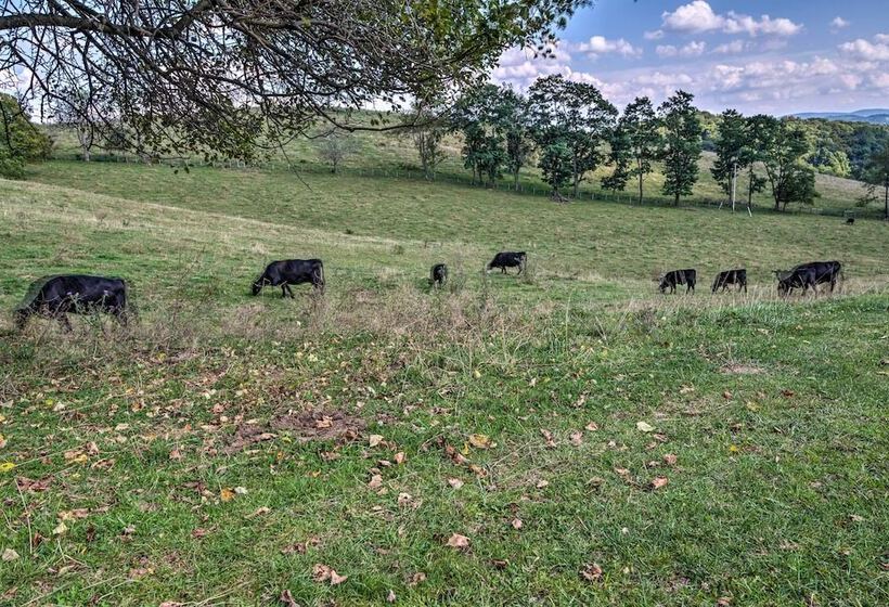 Authentic Cabin W/ Fire Pit Near Trout Fishing!