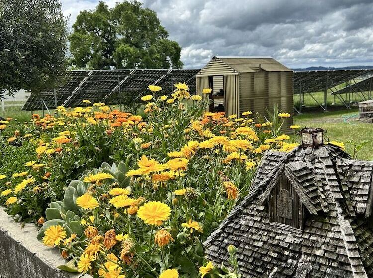 Bed and Breakfast The Gables Wine Country Inn
