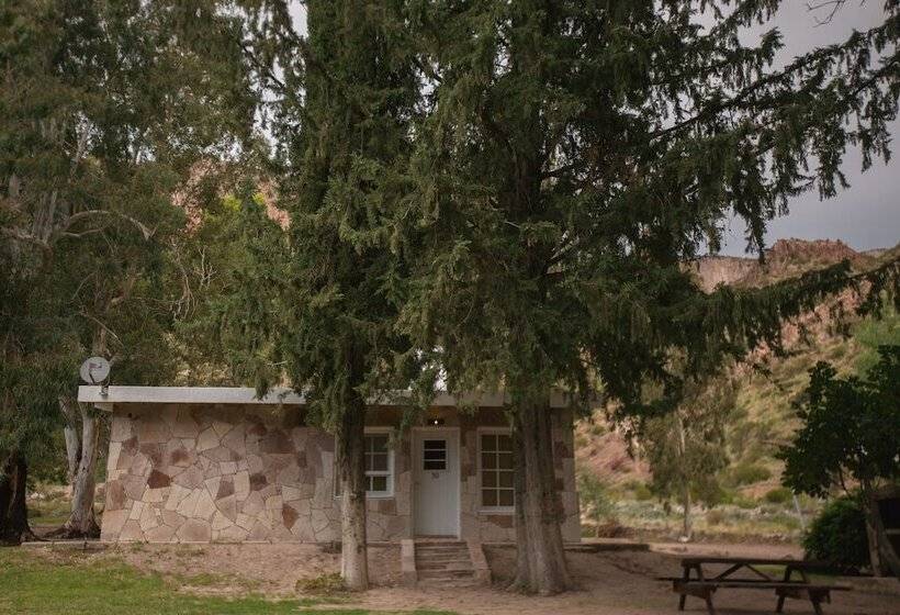 Bosque Divino Cabañas & Suites