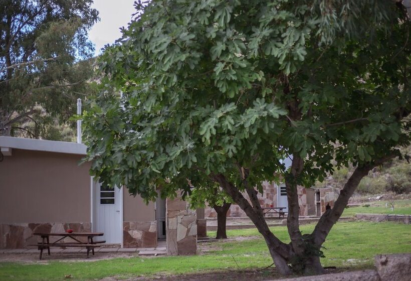 Bosque Divino Cabañas & Suites