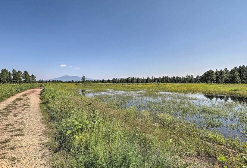 Bright & Modern Flagstaff Cottage Escape!