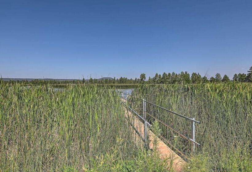 Bright & Modern Flagstaff Cottage Escape!