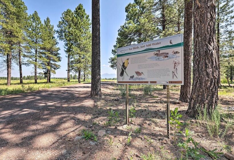 Bright & Modern Flagstaff Cottage Escape!
