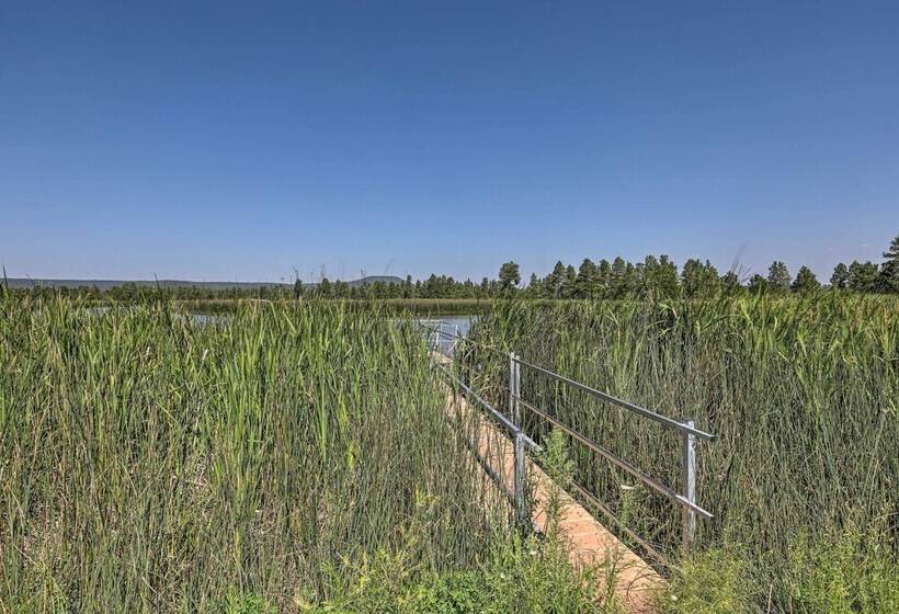 Bright & Modern Flagstaff Cottage Escape!