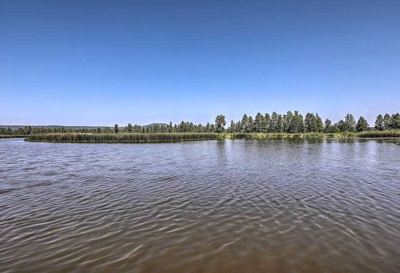 Bright & Modern Flagstaff Cottage Escape!