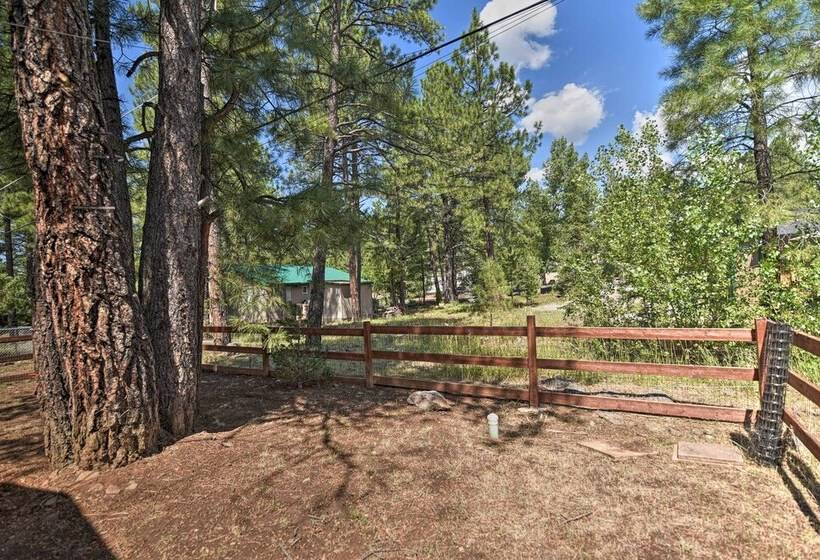 Coconino National Forest Home W/deck & Yard!