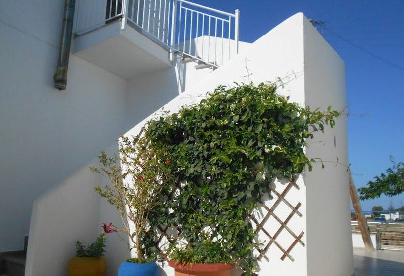 Garifalia Studio S