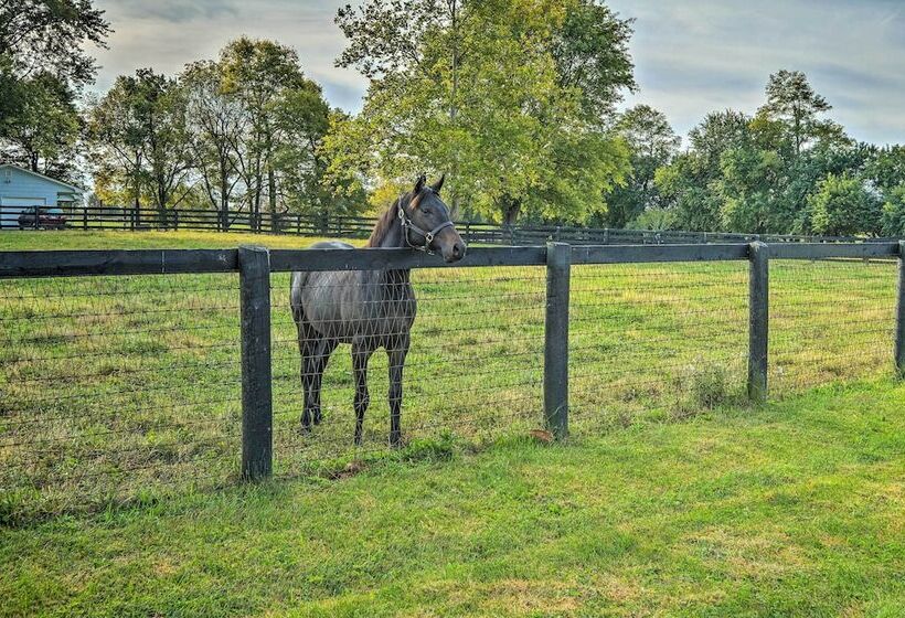 Homey Horse Farm Hideaway ~ 6 Mi To Ky Horse Park!