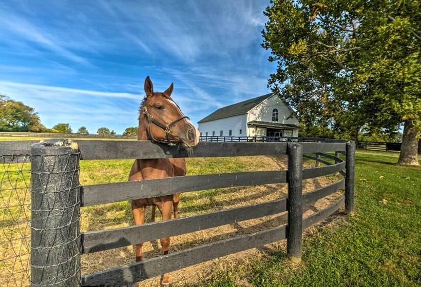 Homey Horse Farm Hideaway ~ 6 Mi To Ky Horse Park!