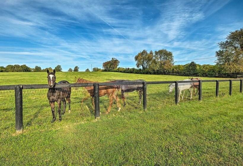 Homey Horse Farm Hideaway ~ 6 Mi To Ky Horse Park!