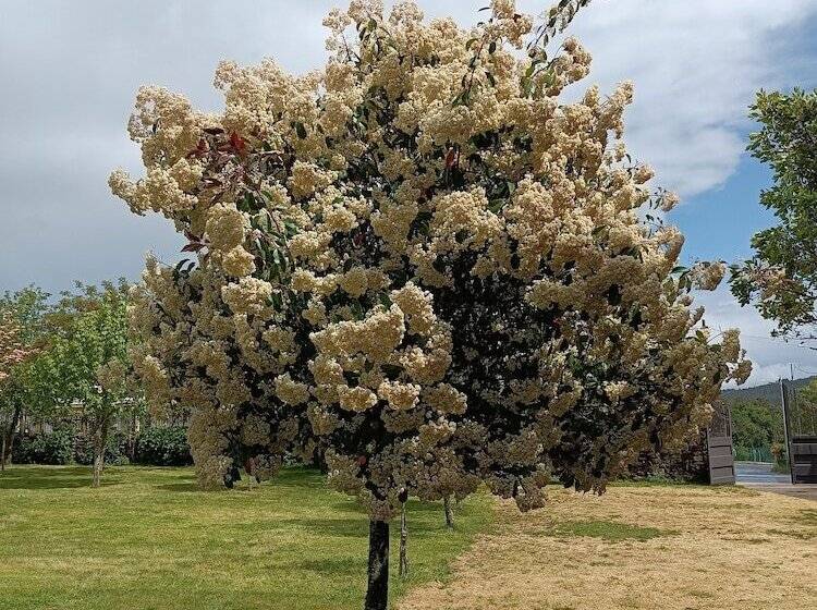 ホテル Casa Das Capelas