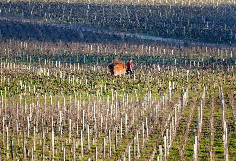 호텔 Château Marojallia