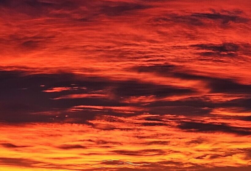 فندق Db Botique And Cabins