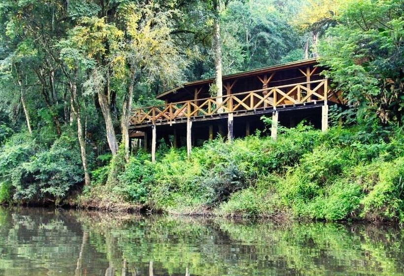 Отель Margay Reserva Natural Y Lodge