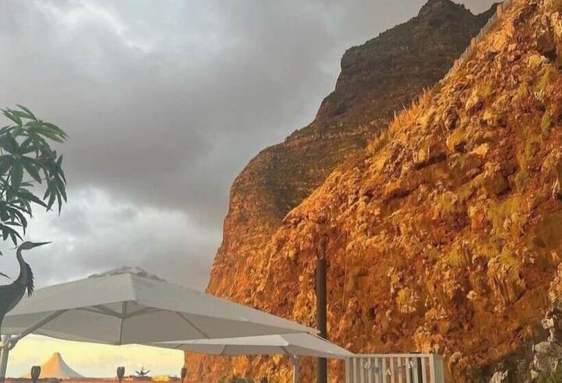 ホテル Mediterrâneo Madeira