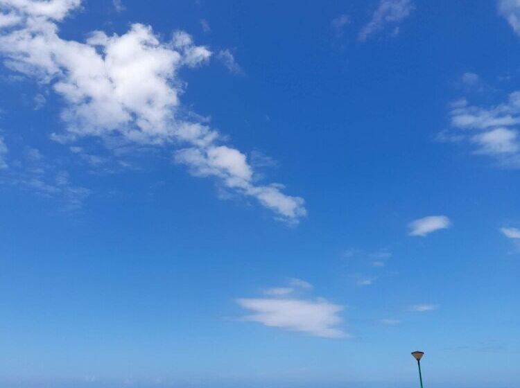 ホテル Mediterrâneo Madeira