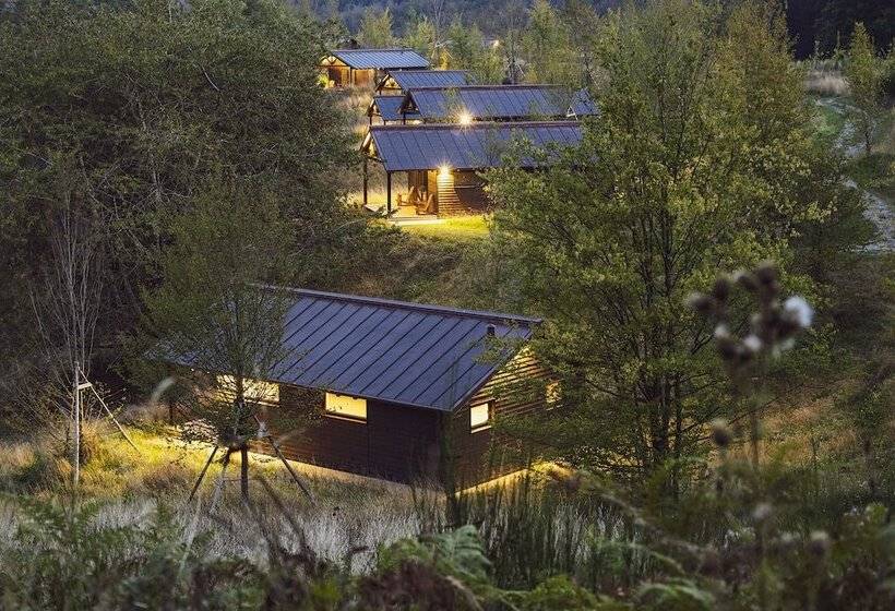 בית מלון כפרי Oasy