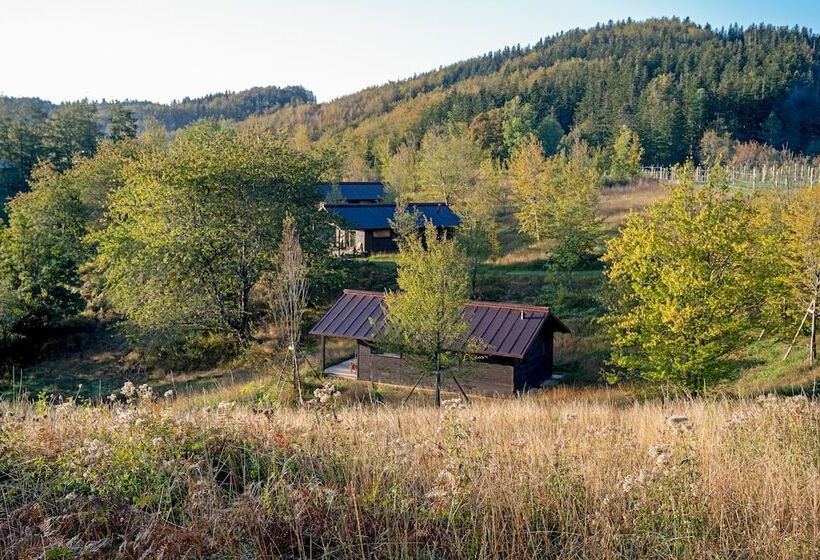 בית מלון כפרי Oasy