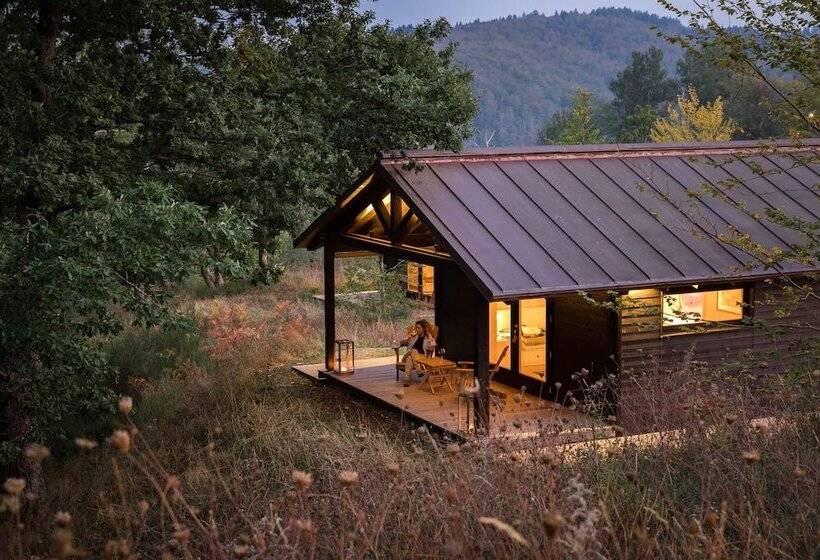 בית מלון כפרי Oasy