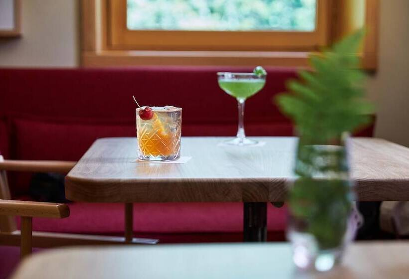 בית מלון כפרי Oasy