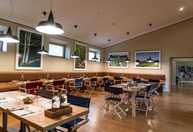 בית מלון כפרי Oasy