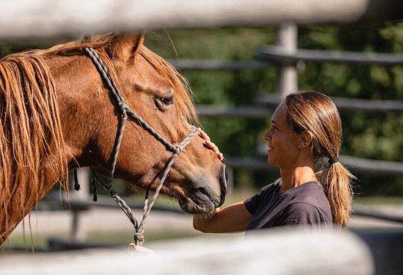 בית מלון כפרי Oasy