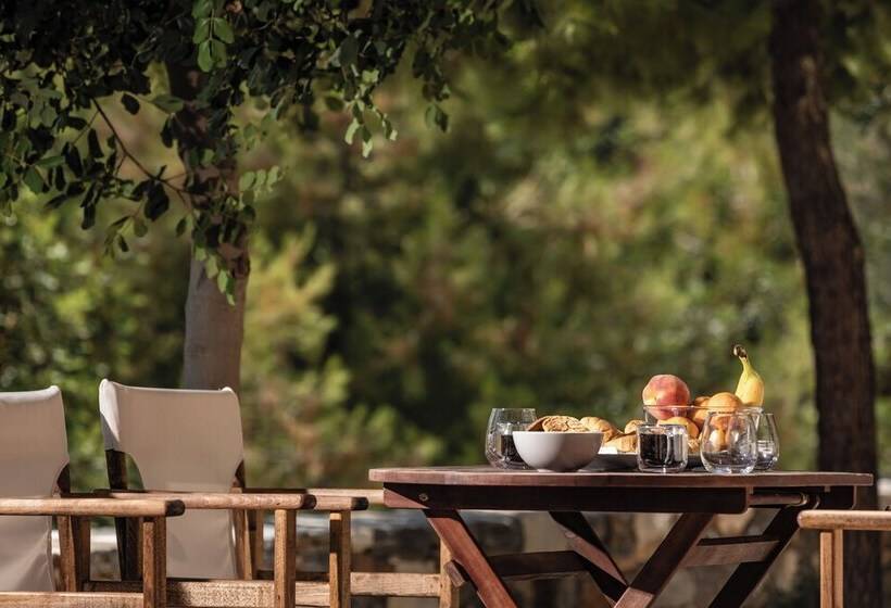 فندق ريفى Zos Suites