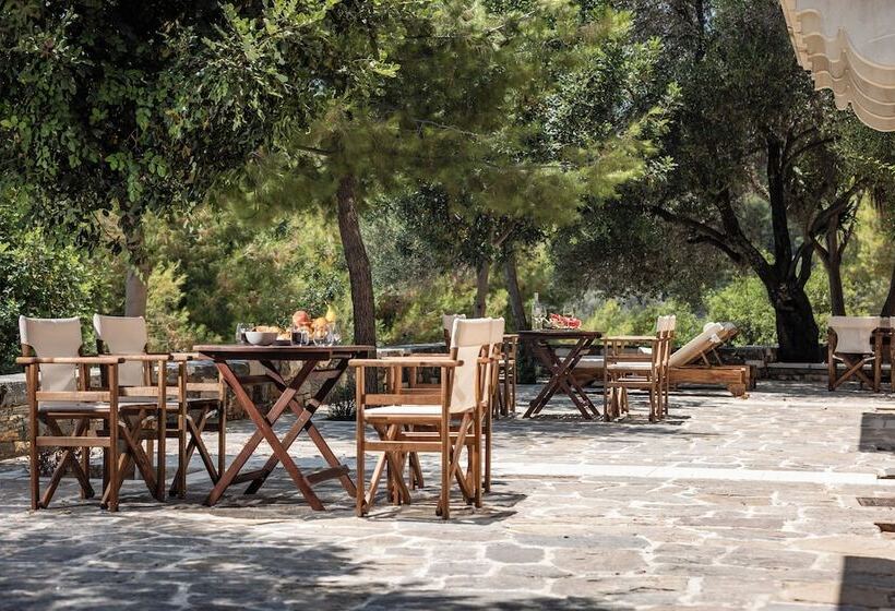 فندق ريفى Zos Suites