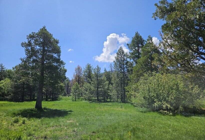 호텔 The Black Forest Lodge