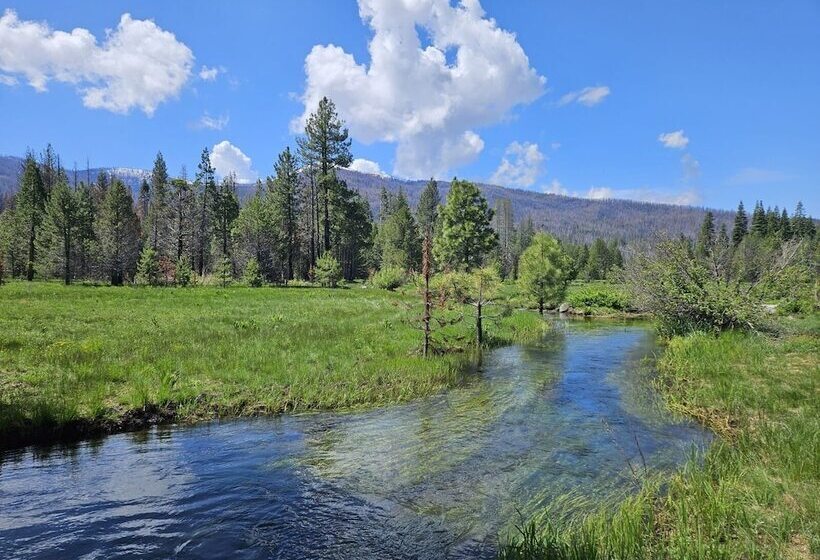 호텔 The Black Forest Lodge