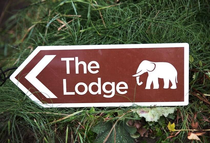 Отель The Lodge Oldham