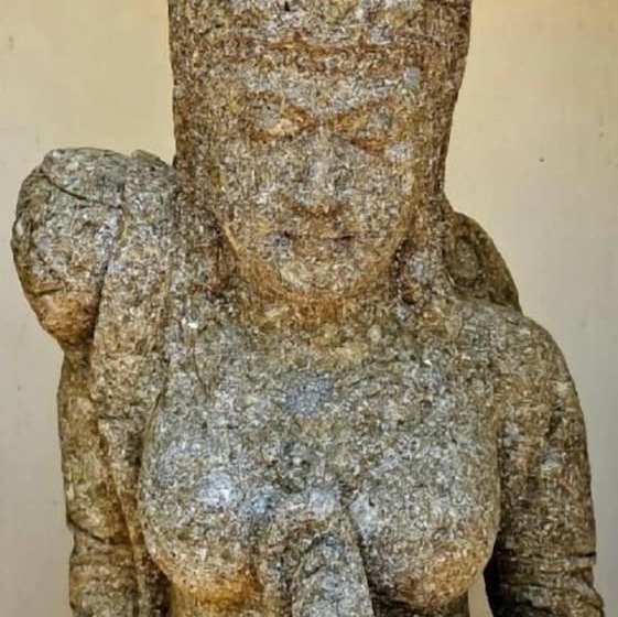 Отель The Zarafa