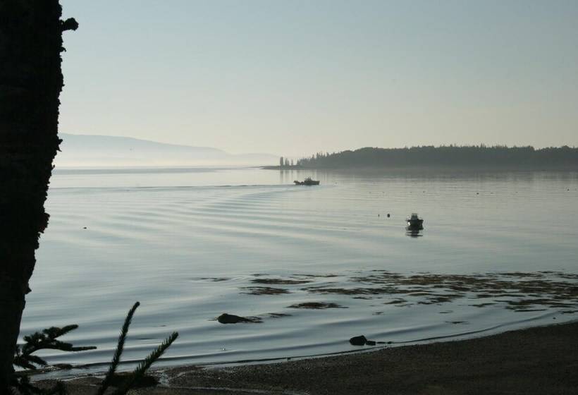 Mabel S Point   Brooklin