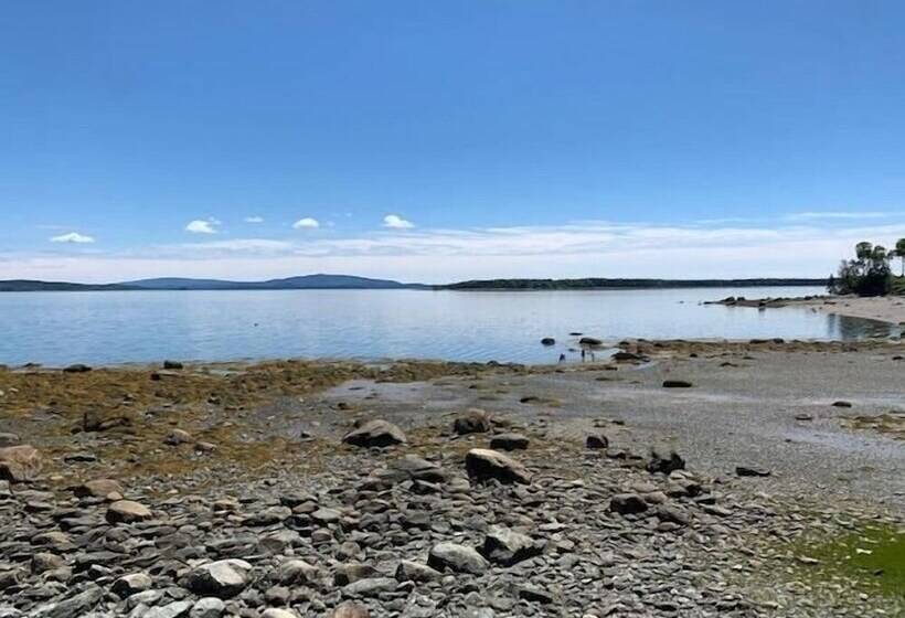 Mabel S Point   Brooklin