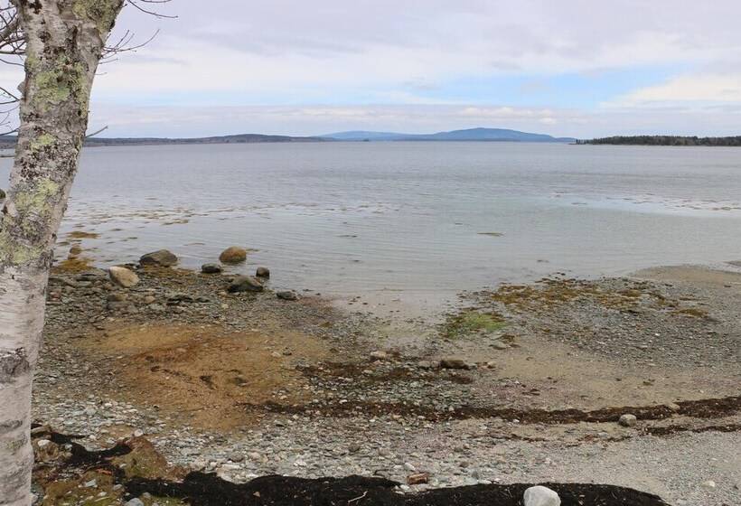 Mabel S Point   Brooklin