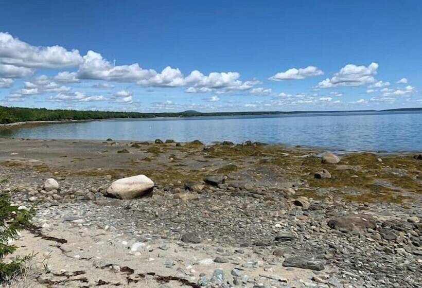 Mabel S Point   Brooklin