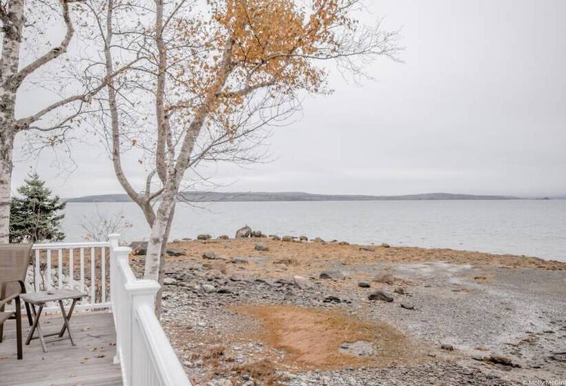 Mabel S Point   Brooklin