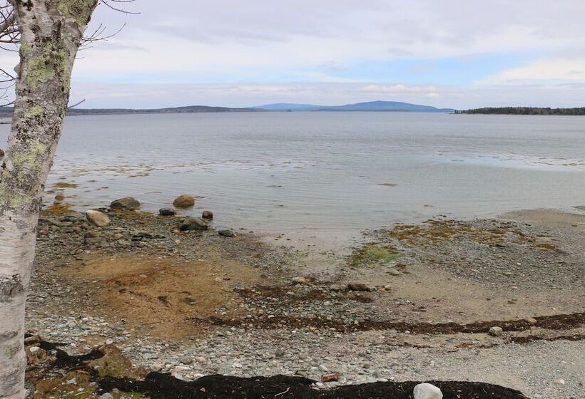 Mabel S Point   Brooklin