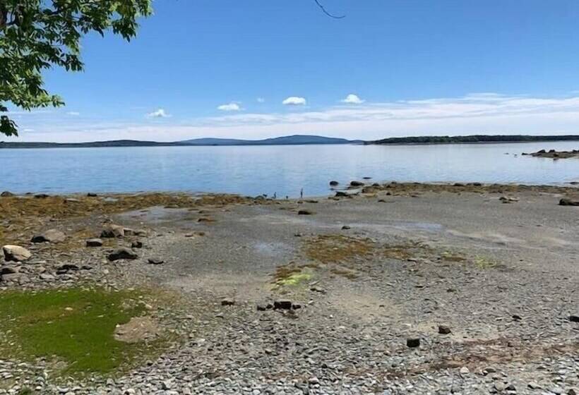 Mabel S Point   Brooklin