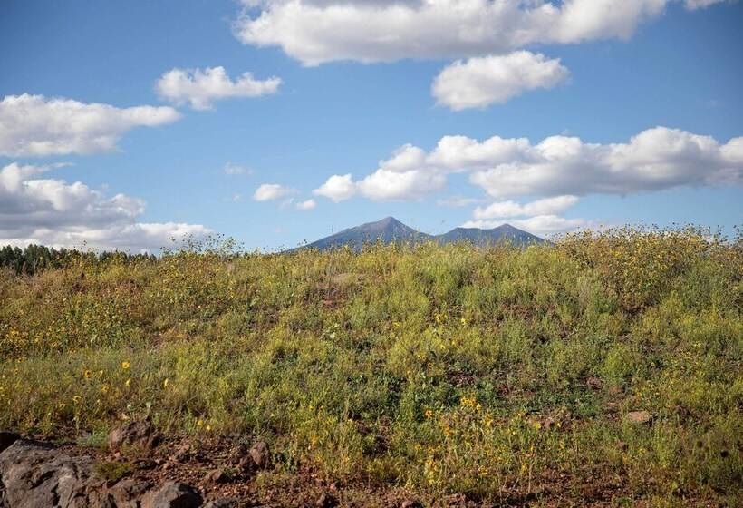 Modern Flagstaff Escape W/ Grill, 3 Mi To Downtown