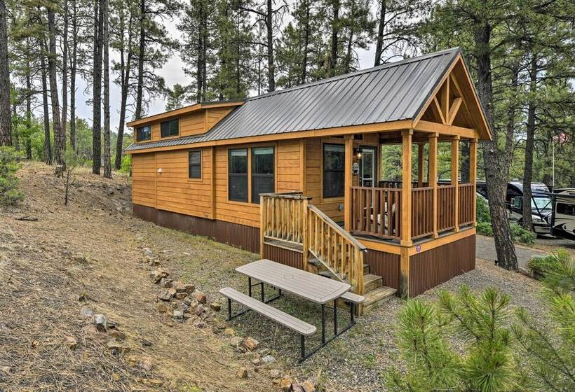 Pagosa Springs Tiny Cabin: Fish, Hike, Ski & Soak!