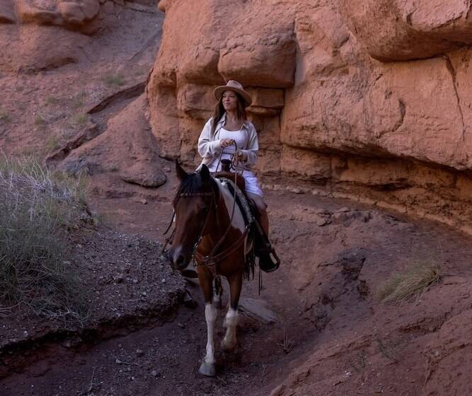 Muddy Creek Mining Company