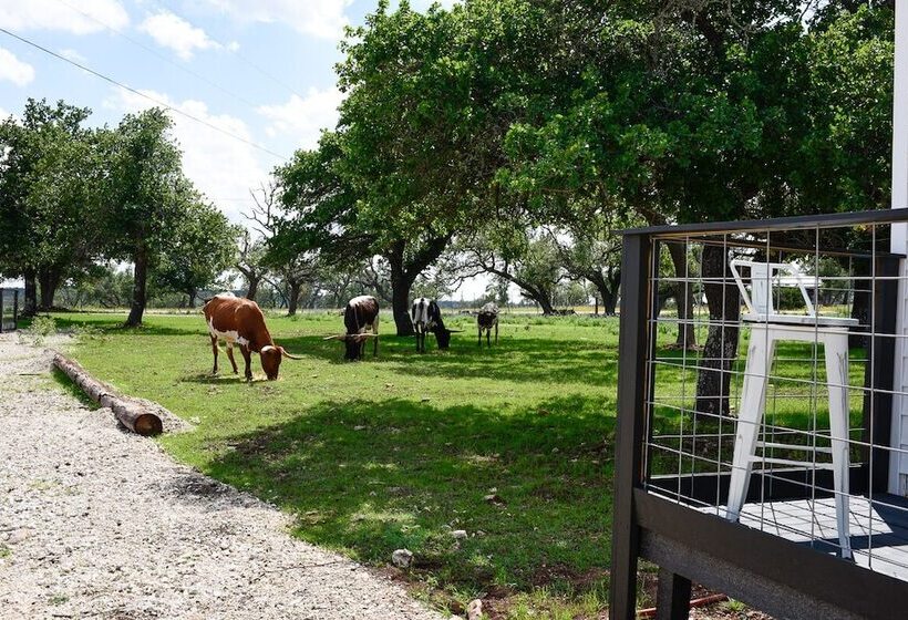 펜션 Best Fredericksburg Bed & Breakfast