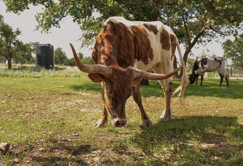 펜션 Best Fredericksburg Bed & Breakfast