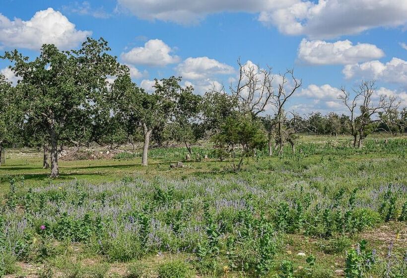 펜션 Best Fredericksburg Bed & Breakfast