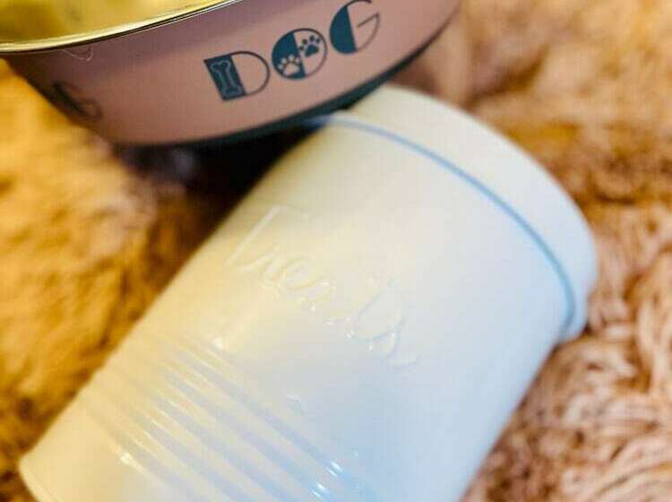 פנסיון Coastal Casita By The River