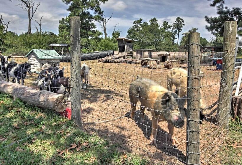 Plantersville Cabin On 50 Acres W/ Pond & Fire Pit