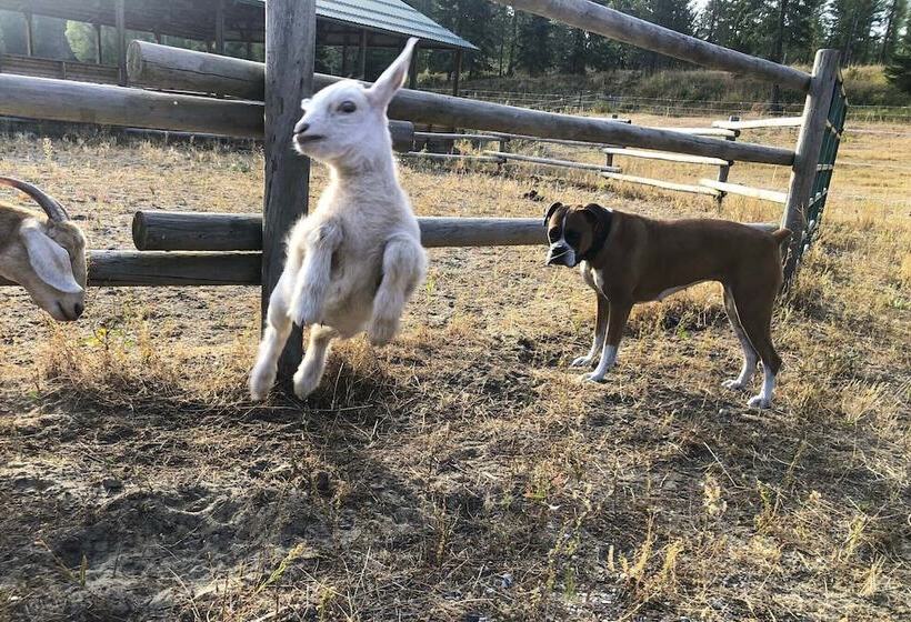 Rural Kettle Falls Bunkhouse W/ Airstrip & Trails!