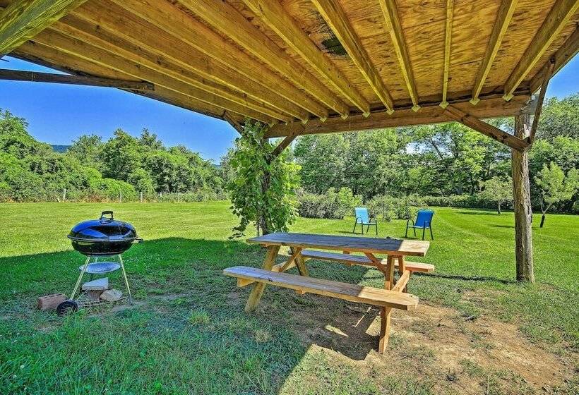 Secluded Rileyville Cabin W/ Hot Tub & Grill!